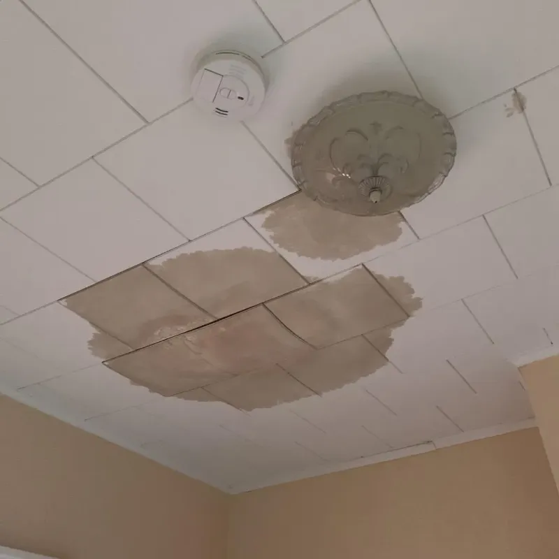 Ceiling Water Damage Repair in New Egypt, NJ